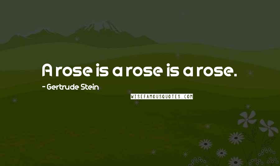 Gertrude Stein Quotes: A rose is a rose is a rose.