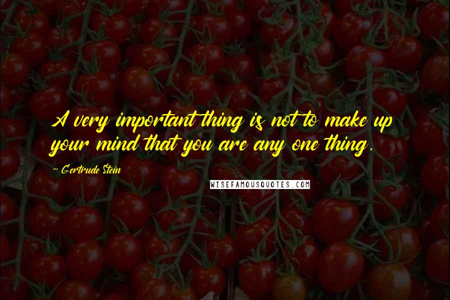 Gertrude Stein Quotes: A very important thing is not to make up your mind that you are any one thing.