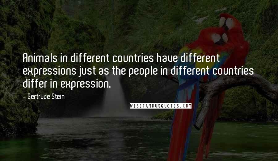 Gertrude Stein Quotes: Animals in different countries have different expressions just as the people in different countries differ in expression.