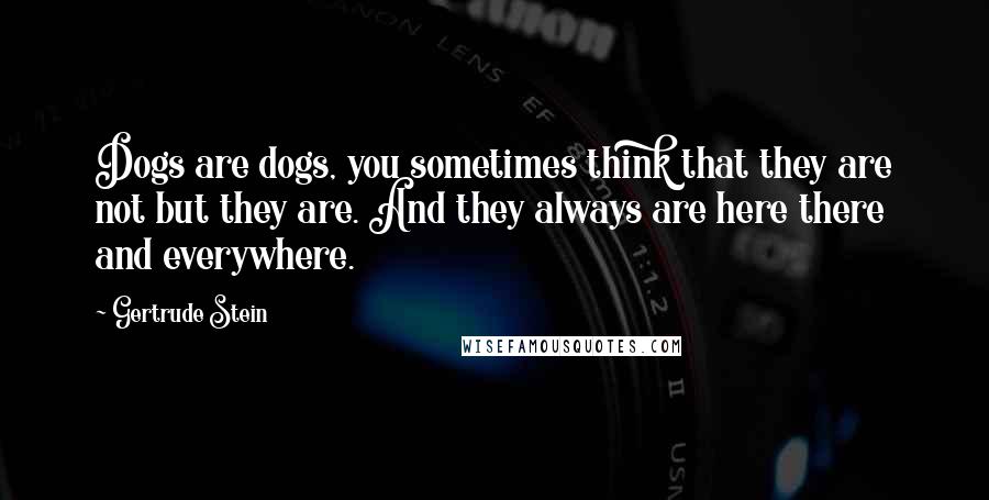 Gertrude Stein Quotes: Dogs are dogs, you sometimes think that they are not but they are. And they always are here there and everywhere.