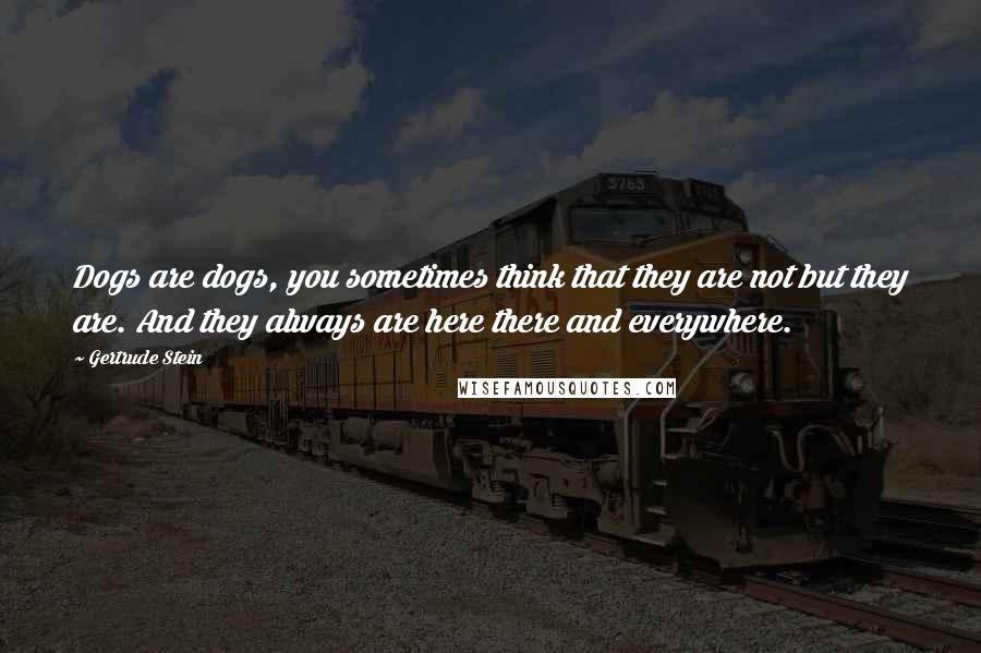 Gertrude Stein Quotes: Dogs are dogs, you sometimes think that they are not but they are. And they always are here there and everywhere.