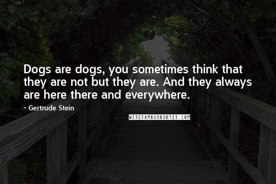 Gertrude Stein Quotes: Dogs are dogs, you sometimes think that they are not but they are. And they always are here there and everywhere.