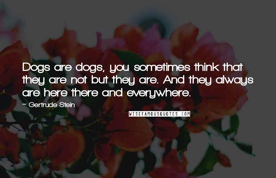 Gertrude Stein Quotes: Dogs are dogs, you sometimes think that they are not but they are. And they always are here there and everywhere.