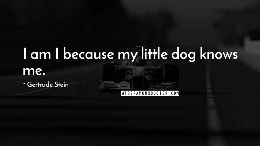 Gertrude Stein Quotes: I am I because my little dog knows me.