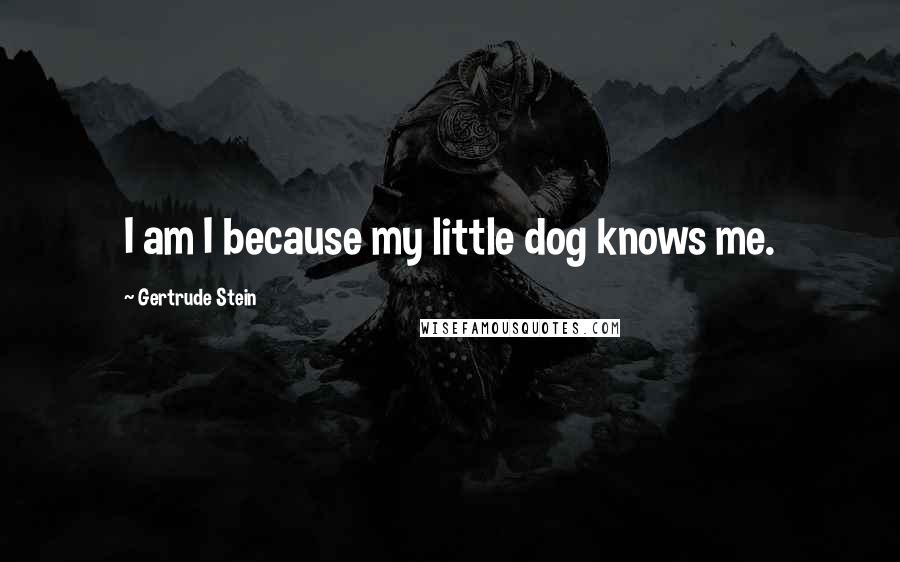 Gertrude Stein Quotes: I am I because my little dog knows me.