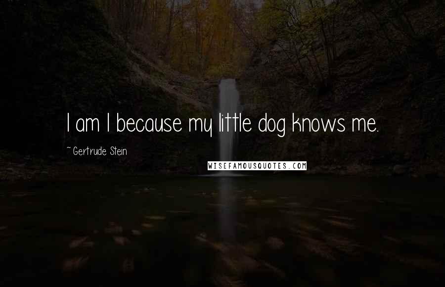 Gertrude Stein Quotes: I am I because my little dog knows me.