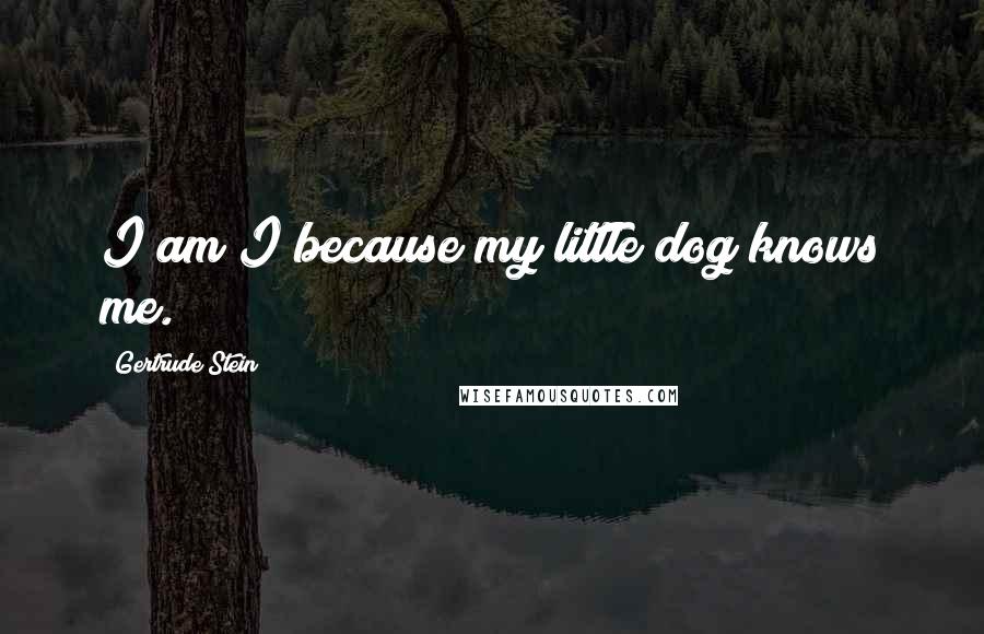 Gertrude Stein Quotes: I am I because my little dog knows me.