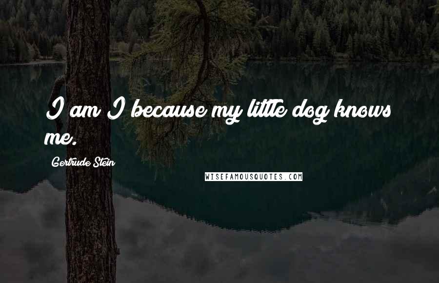 Gertrude Stein Quotes: I am I because my little dog knows me.