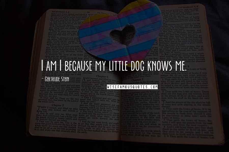 Gertrude Stein Quotes: I am I because my little dog knows me.