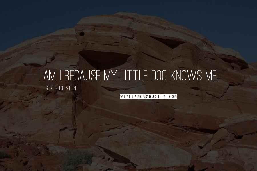 Gertrude Stein Quotes: I am I because my little dog knows me.