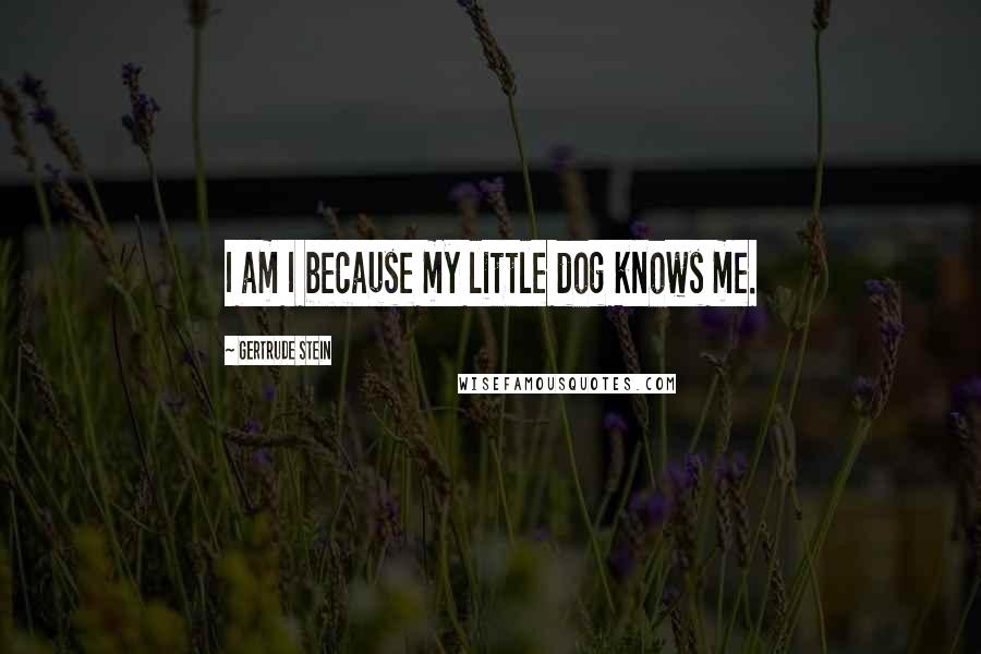 Gertrude Stein Quotes: I am I because my little dog knows me.