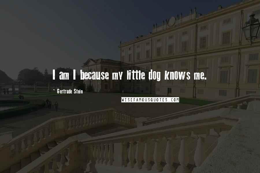 Gertrude Stein Quotes: I am I because my little dog knows me.
