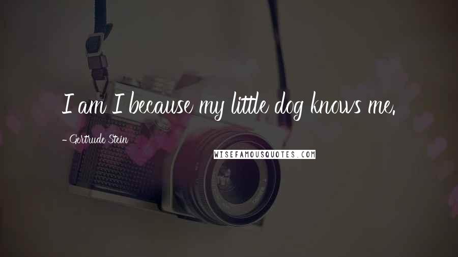 Gertrude Stein Quotes: I am I because my little dog knows me.