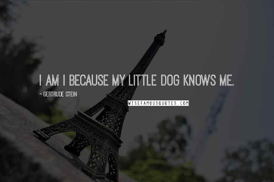 Gertrude Stein Quotes: I am I because my little dog knows me.