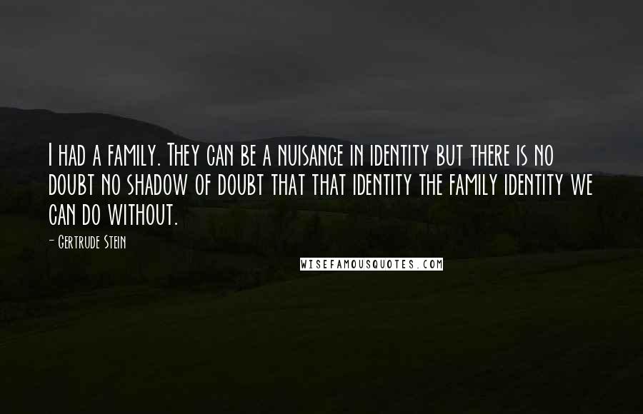 Gertrude Stein Quotes: I had a family. They can be a nuisance in identity but there is no doubt no shadow of doubt that that identity the family identity we can do without.