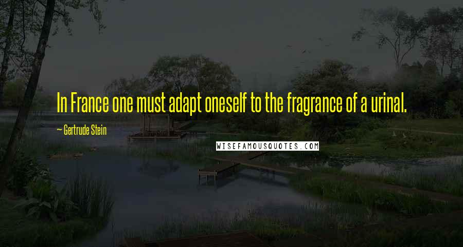 Gertrude Stein Quotes: In France one must adapt oneself to the fragrance of a urinal.