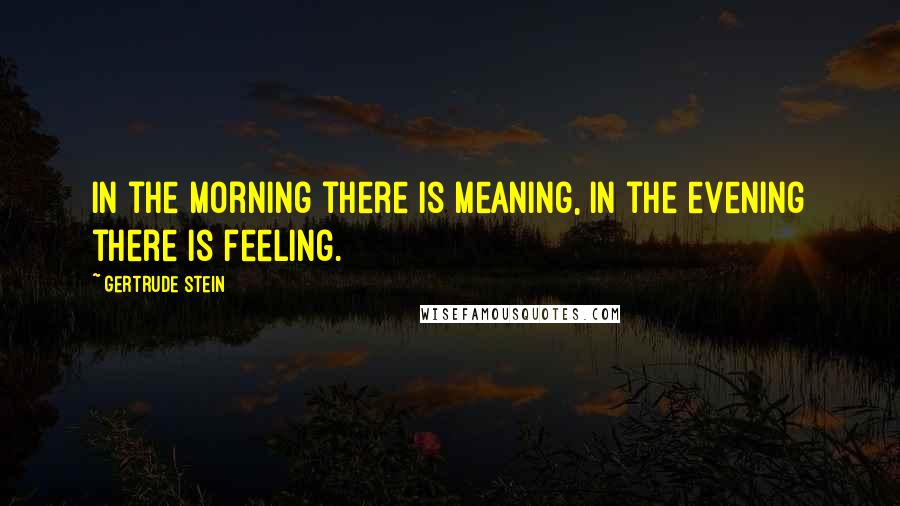 Gertrude Stein Quotes: In the morning there is meaning, in the evening there is feeling.