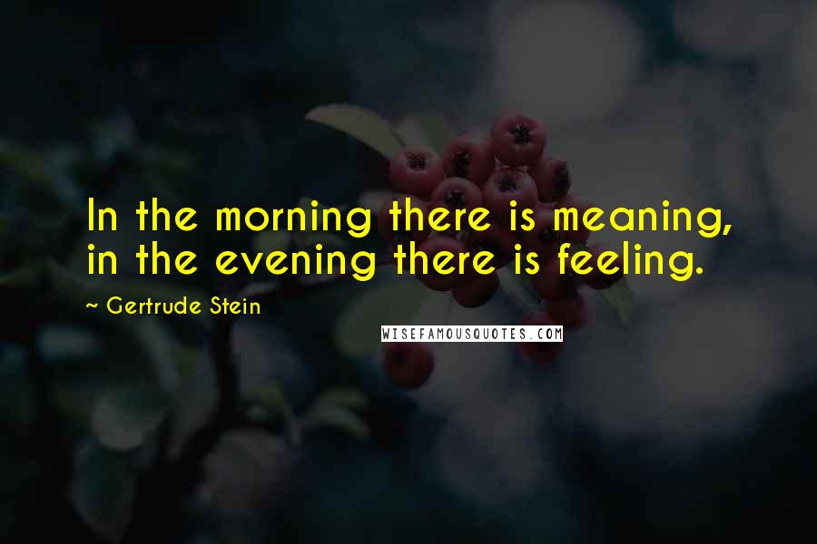 Gertrude Stein Quotes: In the morning there is meaning, in the evening there is feeling.