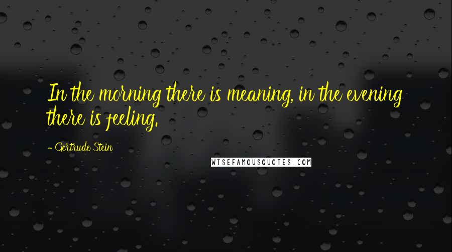 Gertrude Stein Quotes: In the morning there is meaning, in the evening there is feeling.