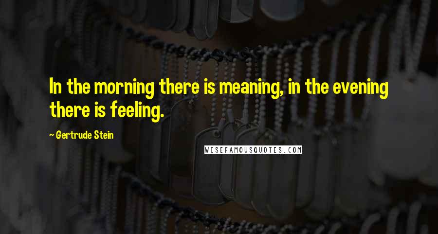 Gertrude Stein Quotes: In the morning there is meaning, in the evening there is feeling.