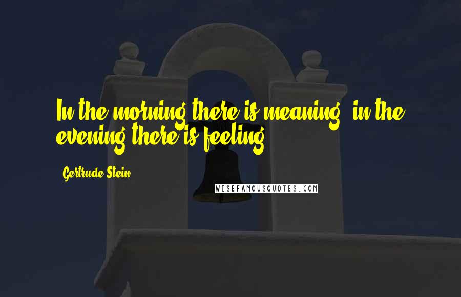 Gertrude Stein Quotes: In the morning there is meaning, in the evening there is feeling.