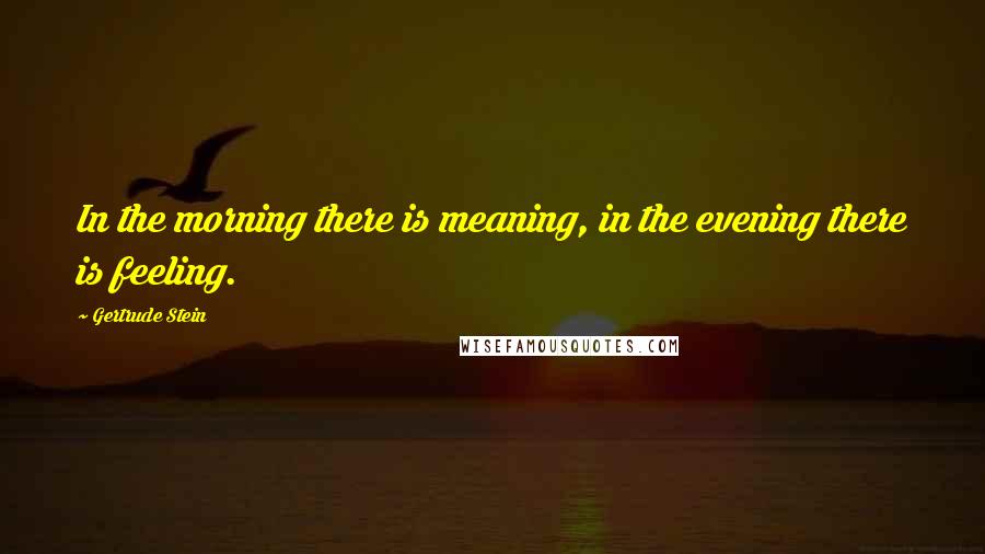 Gertrude Stein Quotes: In the morning there is meaning, in the evening there is feeling.