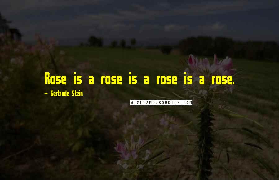 Gertrude Stein Quotes: Rose is a rose is a rose is a rose.