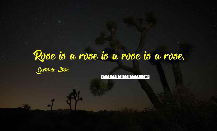 Gertrude Stein Quotes: Rose is a rose is a rose is a rose.
