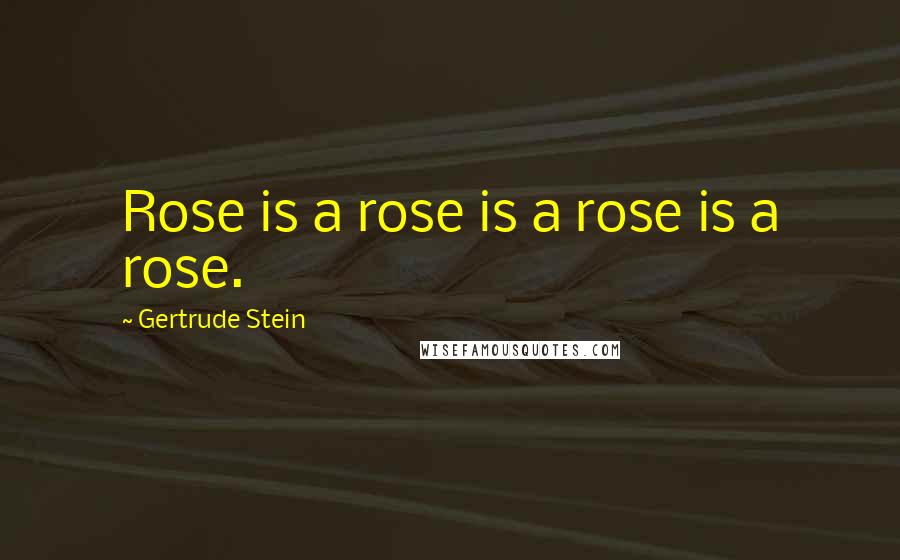 Gertrude Stein Quotes: Rose is a rose is a rose is a rose.