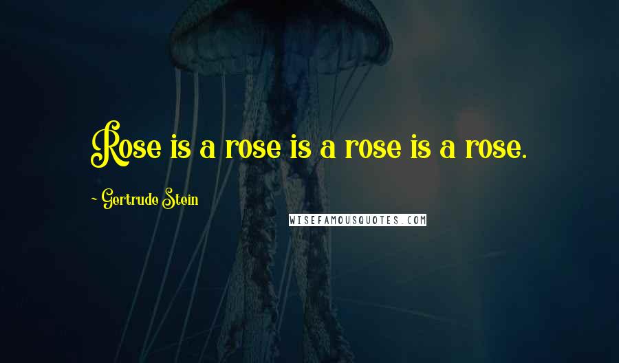 Gertrude Stein Quotes: Rose is a rose is a rose is a rose.