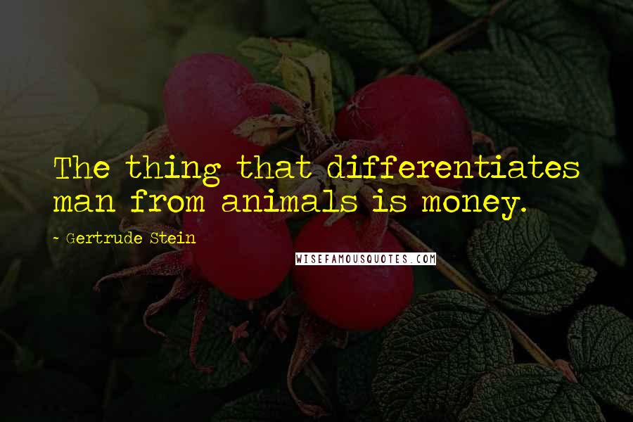 Gertrude Stein Quotes: The thing that differentiates man from animals is money.