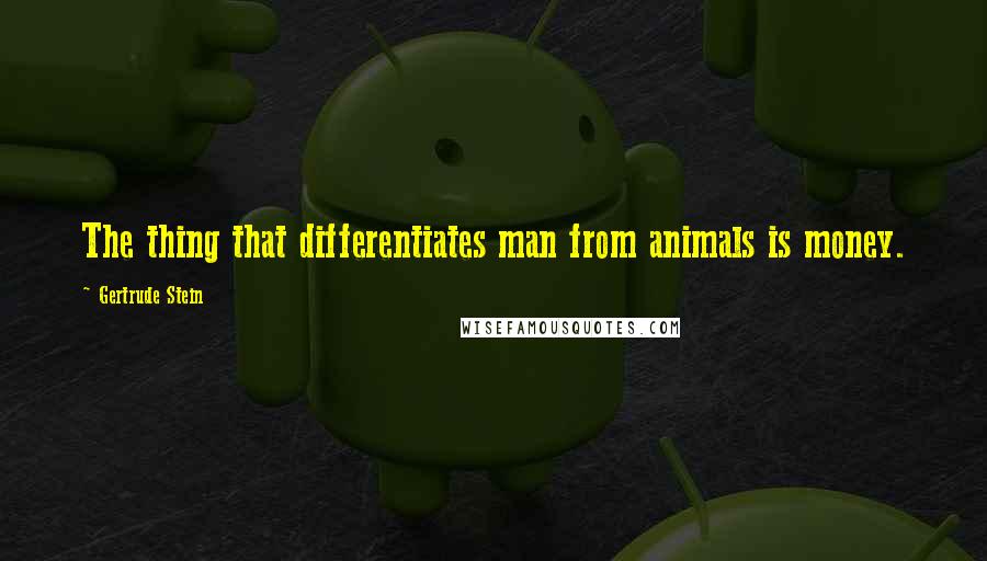 Gertrude Stein Quotes: The thing that differentiates man from animals is money.