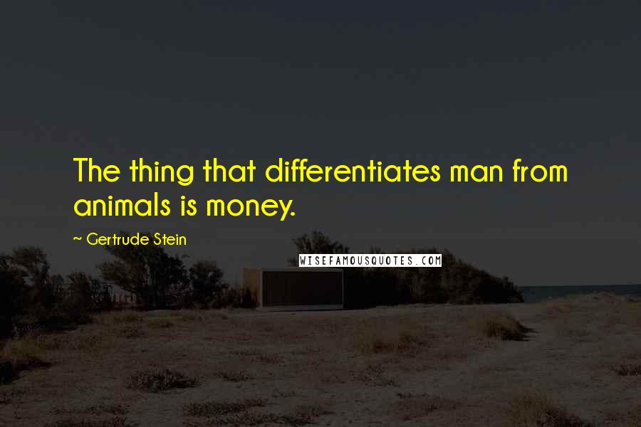 Gertrude Stein Quotes: The thing that differentiates man from animals is money.