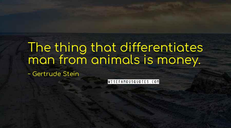 Gertrude Stein Quotes: The thing that differentiates man from animals is money.