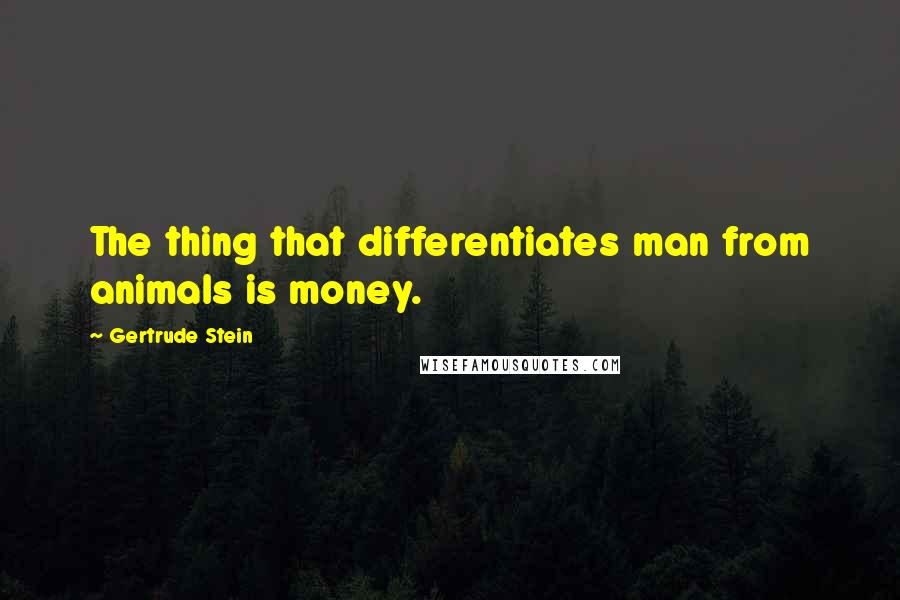 Gertrude Stein Quotes: The thing that differentiates man from animals is money.