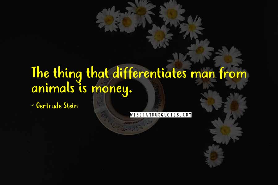 Gertrude Stein Quotes: The thing that differentiates man from animals is money.