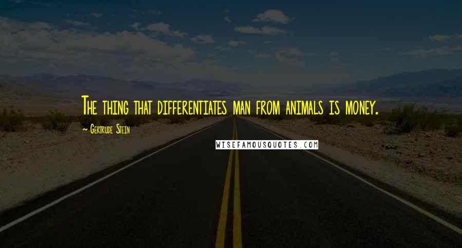 Gertrude Stein Quotes: The thing that differentiates man from animals is money.