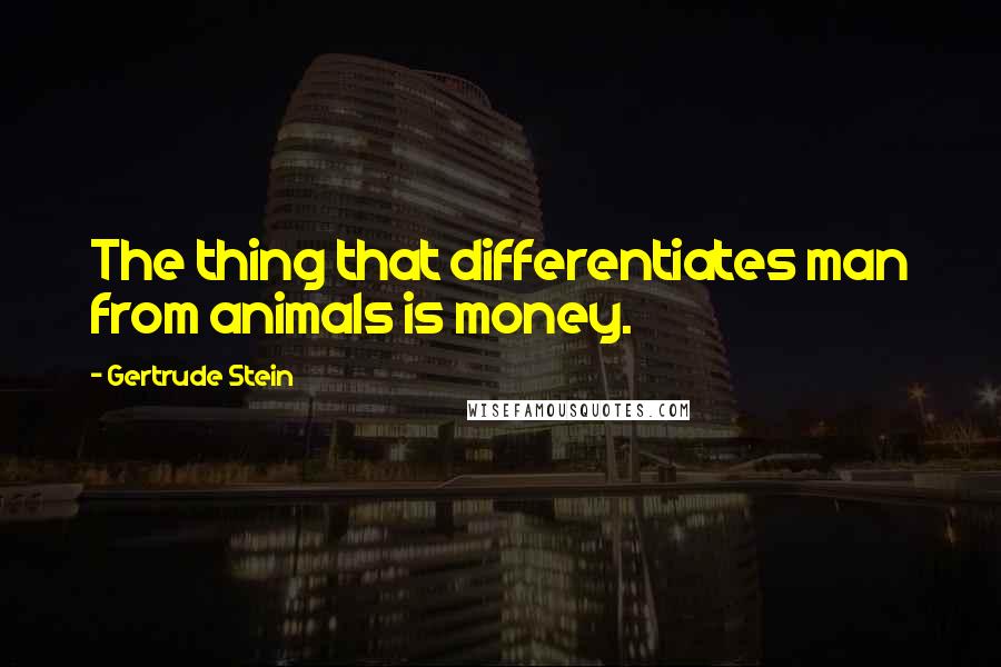 Gertrude Stein Quotes: The thing that differentiates man from animals is money.