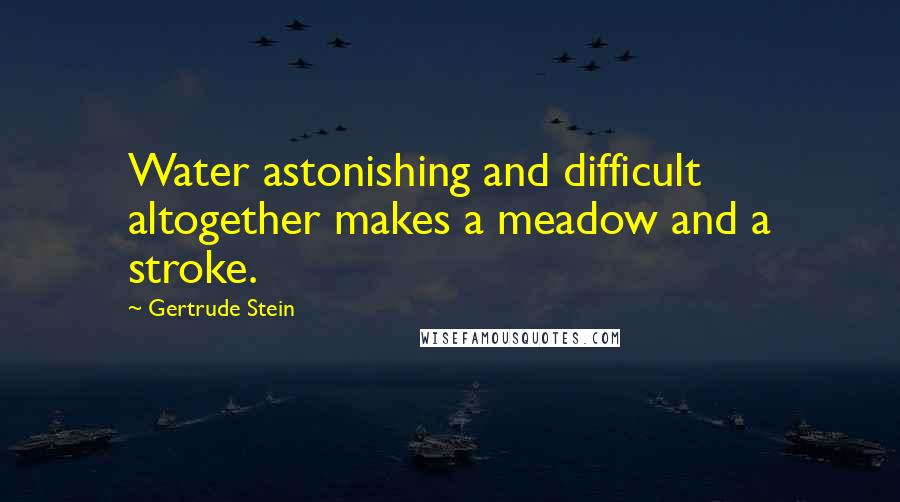 Gertrude Stein Quotes: Water astonishing and difficult altogether makes a meadow and a stroke.