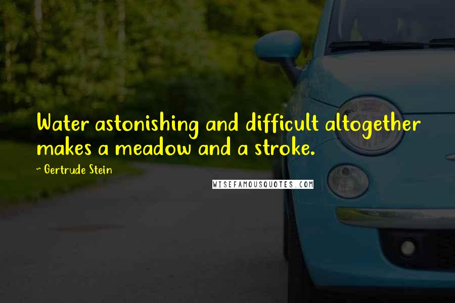 Gertrude Stein Quotes: Water astonishing and difficult altogether makes a meadow and a stroke.