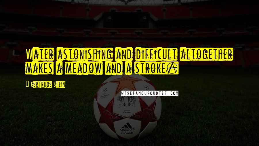 Gertrude Stein Quotes: Water astonishing and difficult altogether makes a meadow and a stroke.