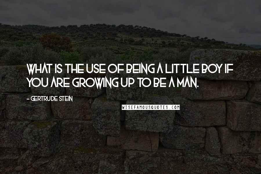 Gertrude Stein Quotes: What is the use of being a little boy if you are growing up to be a man.