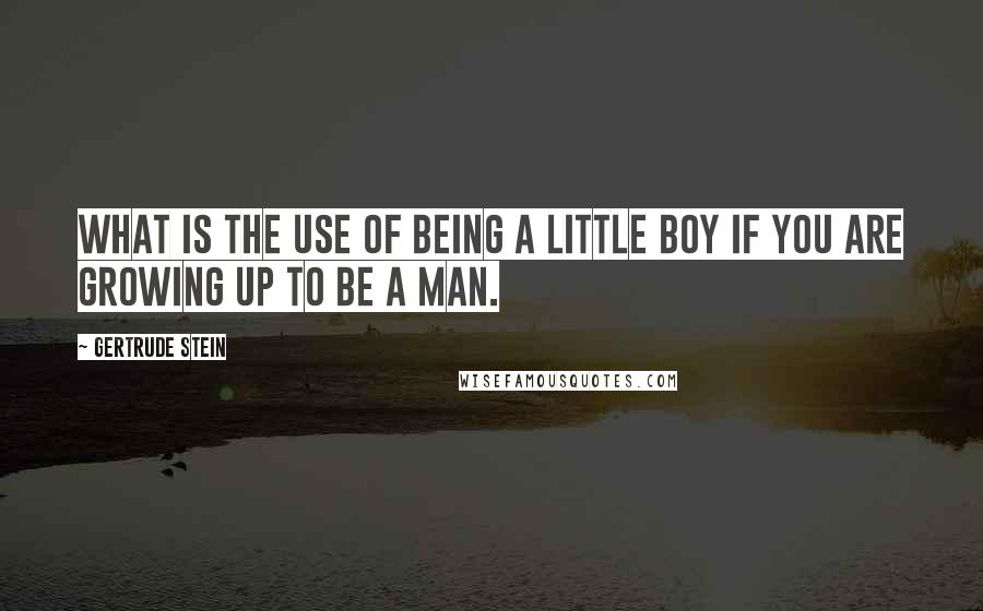 Gertrude Stein Quotes: What is the use of being a little boy if you are growing up to be a man.