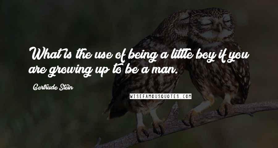 Gertrude Stein Quotes: What is the use of being a little boy if you are growing up to be a man.
