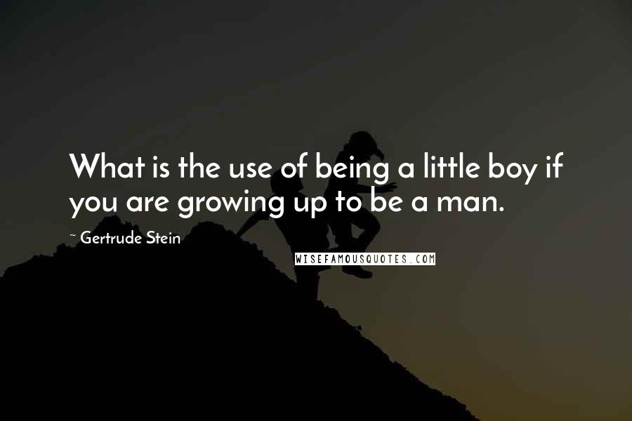 Gertrude Stein Quotes: What is the use of being a little boy if you are growing up to be a man.