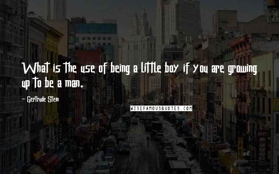 Gertrude Stein Quotes: What is the use of being a little boy if you are growing up to be a man.