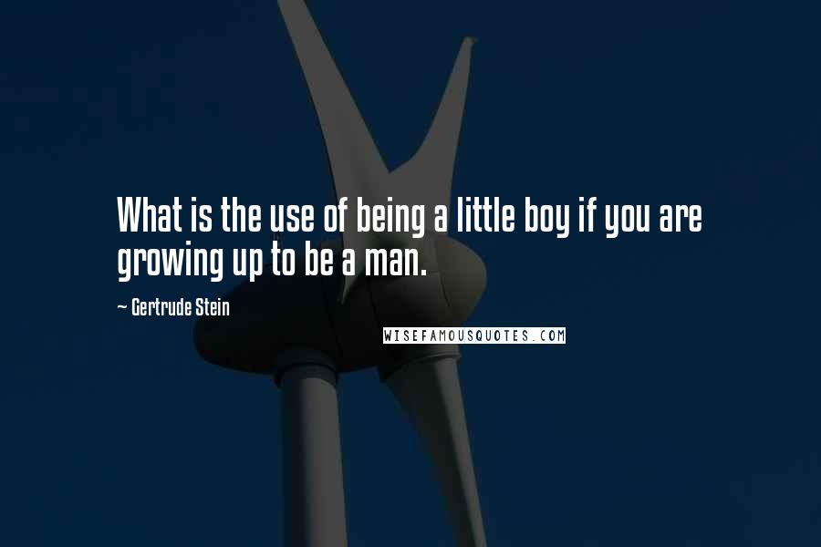 Gertrude Stein Quotes: What is the use of being a little boy if you are growing up to be a man.