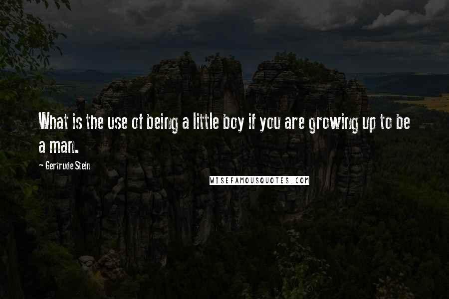 Gertrude Stein Quotes: What is the use of being a little boy if you are growing up to be a man.