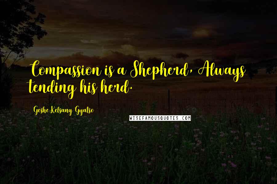 Geshe Kelsang Gyatso Quotes: Compassion is a Shepherd, Always tending his herd.