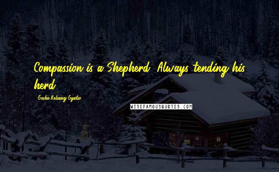 Geshe Kelsang Gyatso Quotes: Compassion is a Shepherd, Always tending his herd.